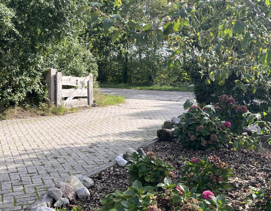 Zo kom je hier