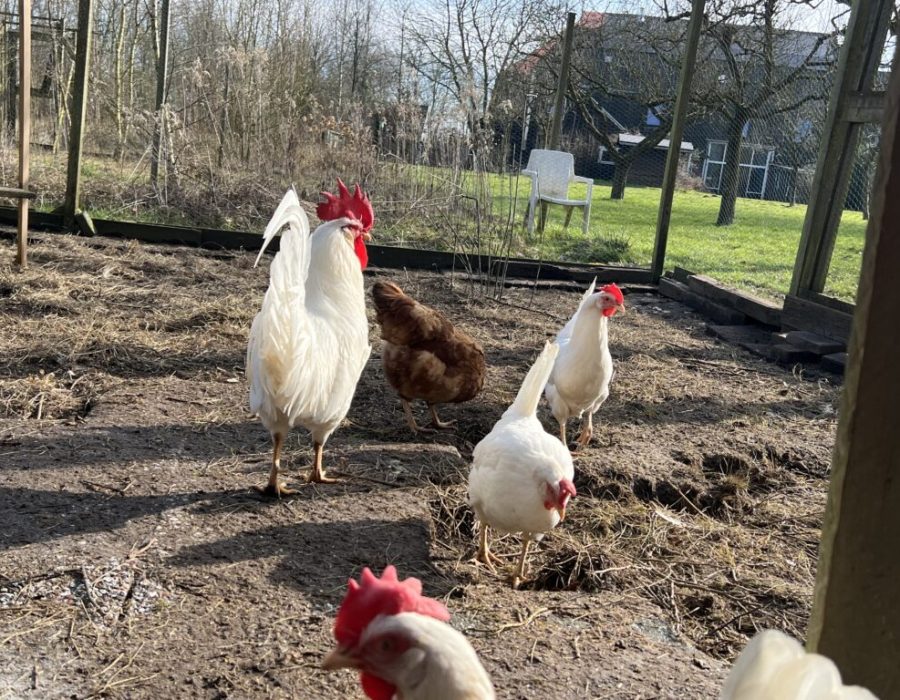 Wij zijn Martijn en Manuela