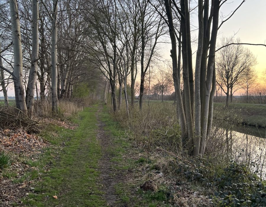 Zo kan de dag lopen