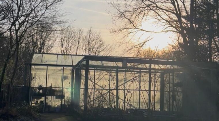 Moestuin seizoen