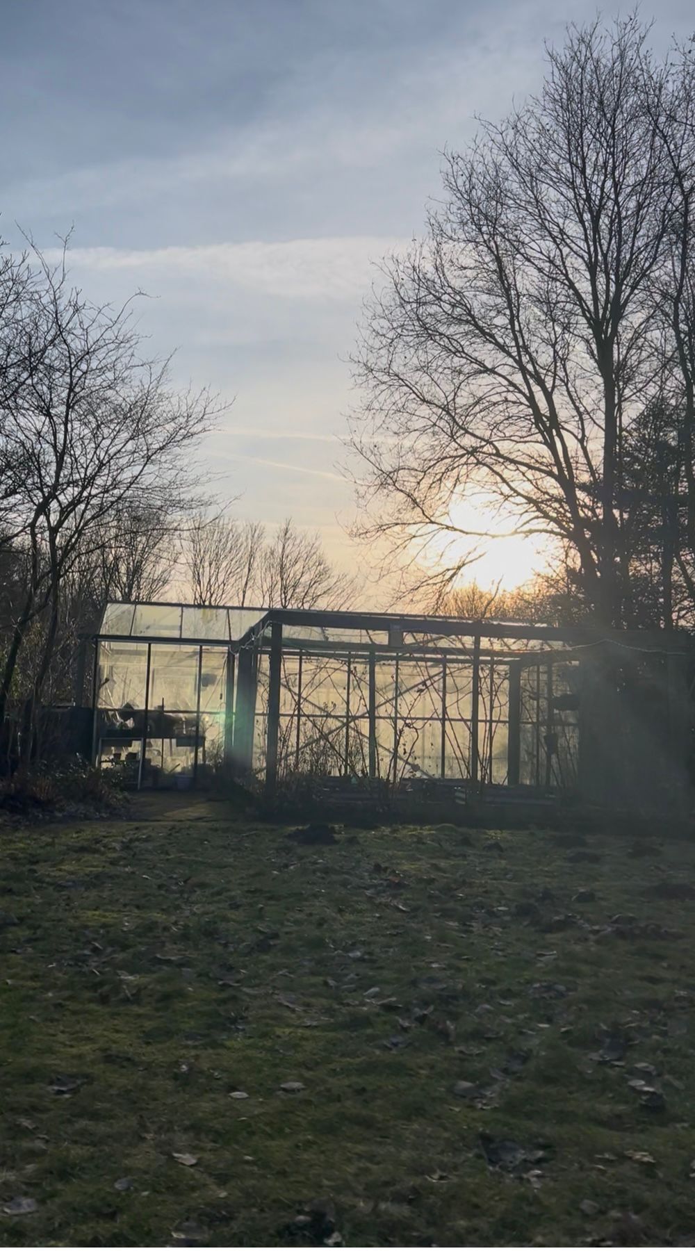Moestuin seizoen